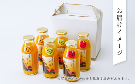 みかんジュース（180ml×6本） ｜果汁100% ストレート みかんジュース 秦野市