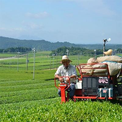 ふるさと納税 甲賀市 滋賀県産【はね出し玉露の茎茶】　100g×5　約166杯分 |  | 01