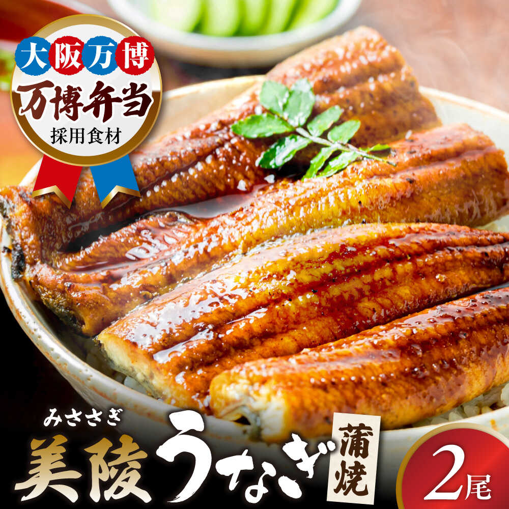【ふるさと納税】鰻 鰻の蒲焼 2尾 / 美陵鰻 鰻 うなぎ ウナギ 蒲焼 蒲焼き かば焼き かばやき 白焼き 白焼 しろやき しらやき 特大 肉厚 うな重 うな丼 ひつまぶし 惣菜 おかず タレ 山椒 国産 土用 丑の日 / 大阪府藤井寺市/Giverichホールディングス株式会社[BLAM003]