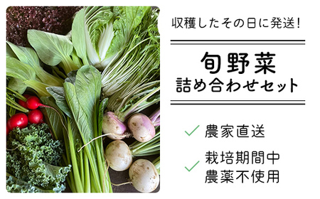 農家直送！【栽培期間中農薬不使用】季節の新鮮野菜「９品」詰め合わせセット オーガニックファーム AIBA FARM TML001 / 野菜セット 無農薬 野菜 千葉県 富里市 直送野菜 お野菜セット 