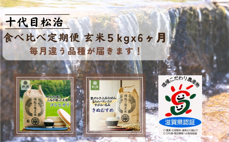 
【新米予約】 定期便 コシヒカリ きぬむすめ 食べ比べ 玄米 各5kg × 6ヶ月 (令和6年産 新米 ブランド米 玄米 5kg 30kg 定期 6回 2品種 おこめ ご飯 お米 農家 ライス 環境 こだわり米 農家直送 ギフト 国産 滋賀県 竜王町 ふるさと納税 )
