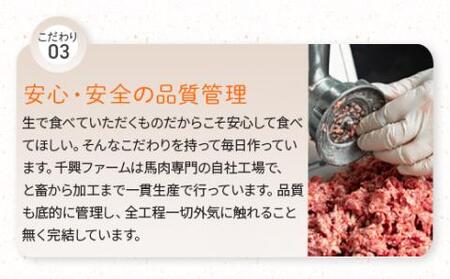 FN タテガミ 入り 馬肉 ハンバーグ デミソース 計1.6kg (200g×8個セット) 個包装 冷凍 お手軽 おかず 031-0203