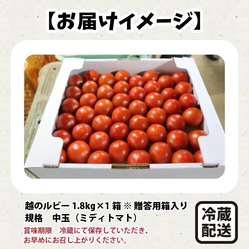 越のルビー 1.8kg とまと ミディトマト [A-1182]