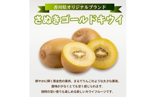 キウイフルーツ 定期便 3回 Kコース 果物 フルーツ キウイ さぬきゴールド 香緑 キウイっこ ゴールドキウイ グリーンキウイ 食べ比べ スイーツ デザート ケーキ ゼリー ジュース ジャム アイス ジェラート フルーツ大福 クレープ ふるさと納税定期便 ふるさと納税フルーツ ケーキ ゼリー アイス ギフト 贈答 送料無料 ふるさと納税 香川県 丸亀市