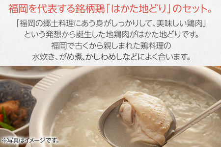 はかた地どり モモ・ムネ肉 合計500g 塩胡椒付 お取り寄せグルメ お取り寄せ 福岡 お土産 九州 福岡土産 取り寄せ グルメ 福岡県