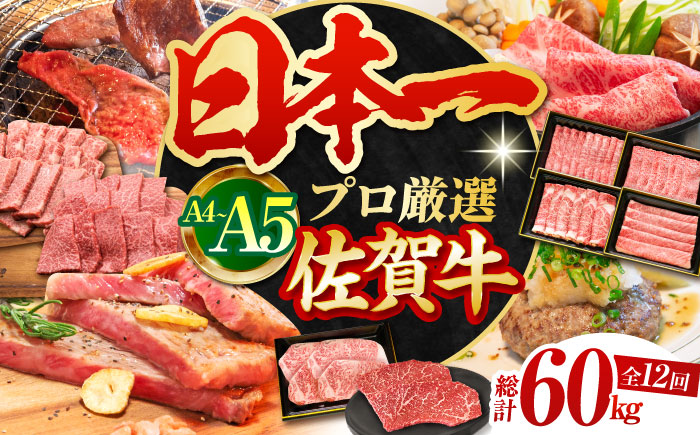 【全12回定期便】佐賀牛 贅沢定期【田中畜産牛肉店】 [HBH045]