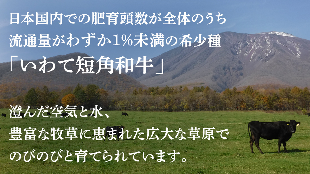 ＼9ヶ月連続 定期便／ 切り落とし 赤身 肉 牛肉 いわて 短角和牛 500g (総計 4500g) 小分けパック 真空冷凍 | 牛肉 肉 赤身 短角 和牛 国産牛 ブランド牛 切り落し 大容量 牛丼