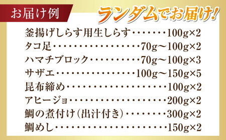 海鮮 旬の海の幸 寄附額5万円相当 海鮮[XBY008]
