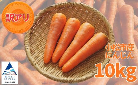 訳あり にんじん 10kg 人参 野菜 | 石川県 小松市 JAあぐり