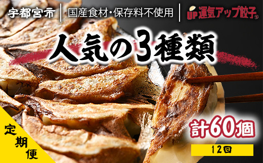 【定期便12回】宇都宮餃子 運気アップ餃子 豚餃子3種類　(54個×12回　合計648個)【配送不可地域：離島】