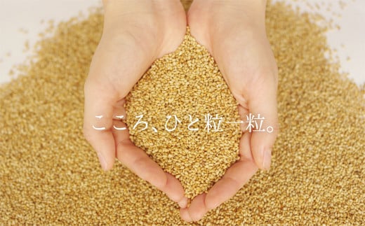 ＜定期便＞創業明治19年　ごま油の老舗「九鬼」　いつもの味を上質に変えるごま油。 九鬼 太白純正胡麻油1650ｇ×2本セット【６回発送】 セット ゴマ油 胡麻油 ごま油 ドレッシング 老舗 まろやか 