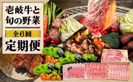 【全6回定期便】《A4-A5ランク》壱岐牛と旬の野菜定期便《壱岐市》【壱岐市農業協同組合】 [JBO078] 冷凍配送 黒毛和牛 A5ランク 壱岐牛 肉 黒毛和牛 野菜 旬 詰め合わせ 贅沢 BBQ 159000 159000円 九州