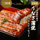 【ふるさと納税】うなぎ蒲焼バラエティセット（三河産）【3ケ月連続お届け】　【定期便・魚貝類・うなぎ・ウナギ・鰻】