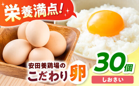 【数量限定100セット】安田養鶏場の卵 しおさい 30個入り 横須賀市 産地直送 割れ保証付き たまご 黄身 濃厚 卵 玉子 タマゴ 鶏卵 【安田養鶏場】[AKHN001]