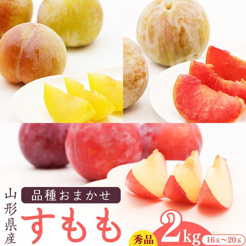【ふるさと納税】山形産 すもも 2kg (16玉〜20玉) 【2025年8月中旬頃〜9月下旬頃発送予定】 ／ 果物 フルーツ 果実 果汁 産地直送 季節 旬 お取り寄せ ご当地 特産 プラム 李 数量限定 期間限定 東北 山形県産 2025年産 令和7年産 寒河江市