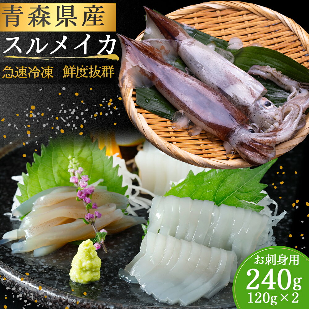 【ふるさと納税】青森県産スルメイカ刺身240g（120g×2P) ふるさと納税 スルメイカ 刺身 青森県産 むつ市 イカ