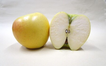 【数量限定 2025年 4月発送 予約受付】 雪っ子 りんご シナノゴールド 5kg 岩手県 北上市 D0208 展勝地レストハウス 国産 リンゴ 林檎 果物 フルーツ 果実 贈答用りんご 雪室貯蔵