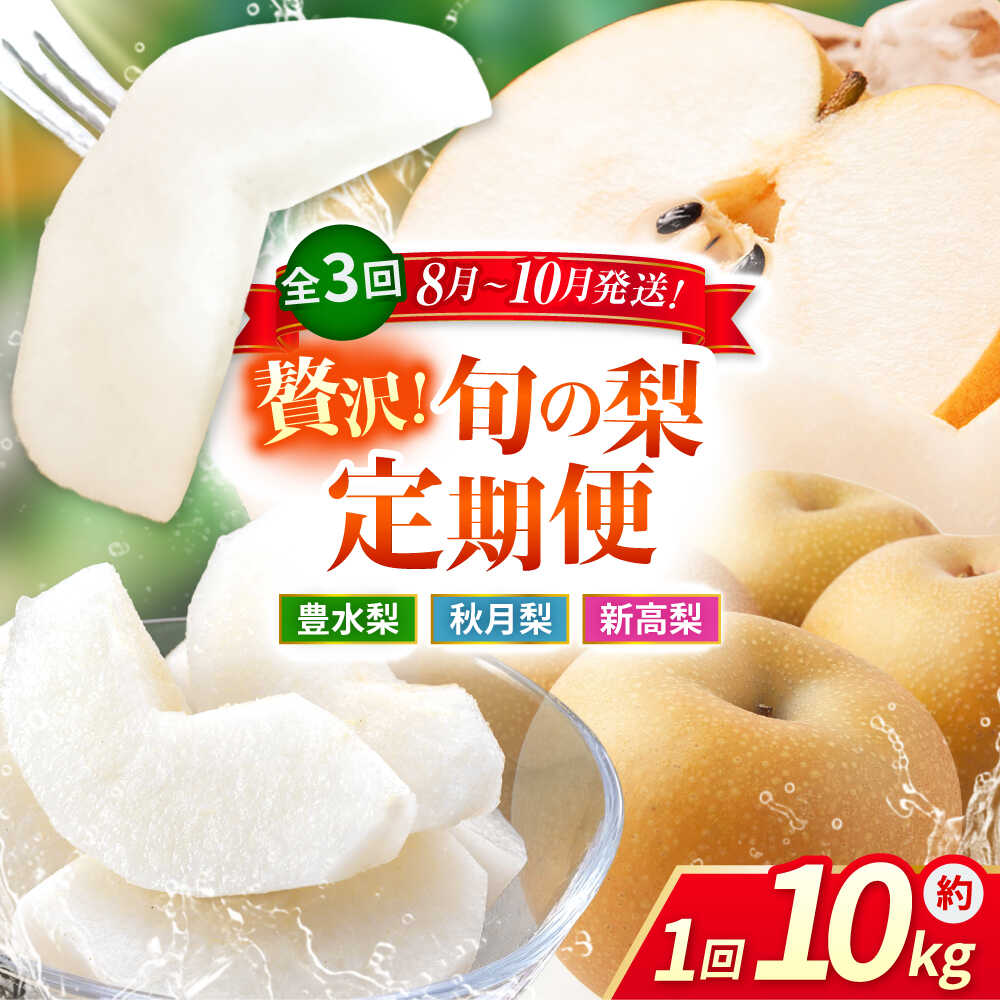 【ふるさと納税】【先行予約】【3回定期便】 梨 約10kg 計約30kg（豊水・秋月・新高） 梨 ナシ フルーツ 果物 【日本フルーツ株式会社】 [ZFJ025]