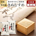 【ふるさと納税】【先行受付 数量限定】令和6年産 新米【3ヵ月定期便】滋賀県認証！魚のゆりかご水田米「きぬむすめ」白米 5kg×2セット【柴田ファーム】 | 頒布会 精米 こだわり 安心 送料無料 きぬむすめ ギフト 贈答 滋賀県 近江米