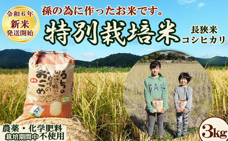 孫のために作りました！田代農園の『特別栽培米』３kg　選べる《玄米》《精米》 　[0010-0159]