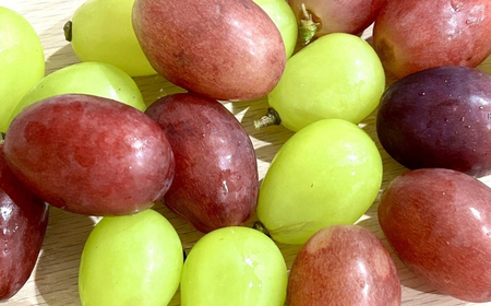 【2026年先行予約】シャインマスカット ＆ クイーンルージュ® 詰め合わせ セット  計約1kg（2~3房）※最低900g以上｜ ぶどう ぶどう