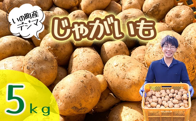 じゃがいも5kg（デジマ）
