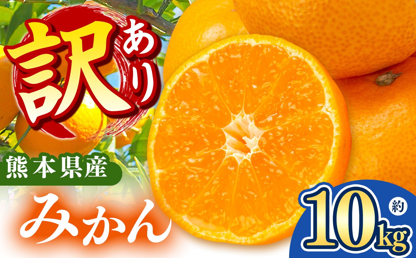 
            【 先行予約 】 訳あり みかん 10kg 大小混合 果物 熊本県なごみ町産  | 熊本県 熊本 くまもと 和水町 なごみまち なごみ みかん ミカン 蜜柑 柑橘 柑橘類 温州 果物 フルーツ 不揃い キズ スレ
          