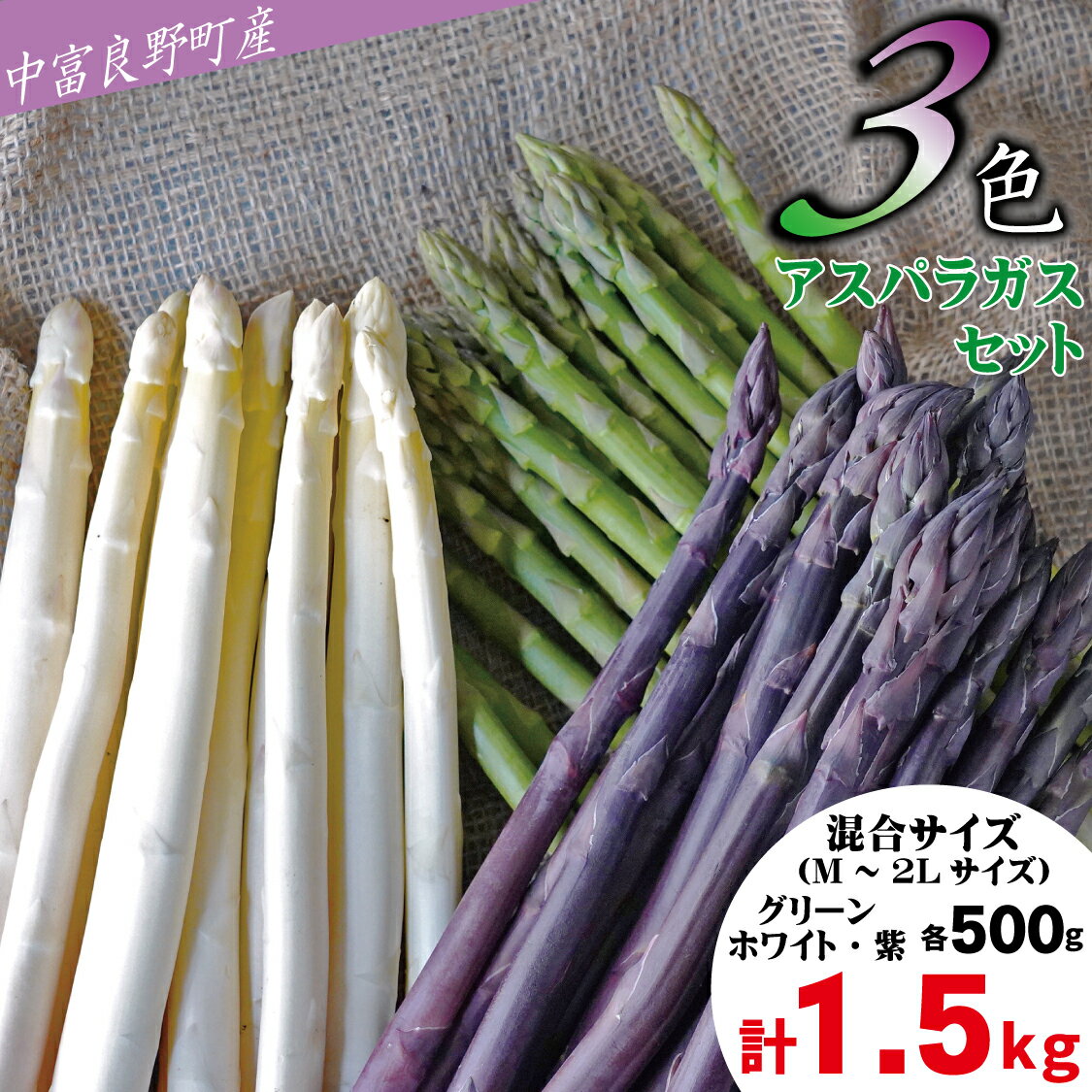 【ふるさと納税】【2026年発送】【中富良野町寺坂農園】3色アスパラガスセット（1.5kg）