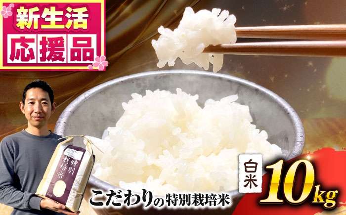 
                   【令和7年度】 くまさんの輝き 白米 10kg (1袋)  米 お米 白米 お米 10kg 10キロ ごはん ライス こめ 精米 ブランド米 くまさんの輝き 10kg 10ｷﾛ 熊本県産 合志市 産地直送 送料無料【坂本農園】 [AYCC035]
                