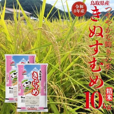 ふるさと納税 湯梨浜町 鳥取県産きぬむすめ◇精米10kg◇令和8年産(359M.)