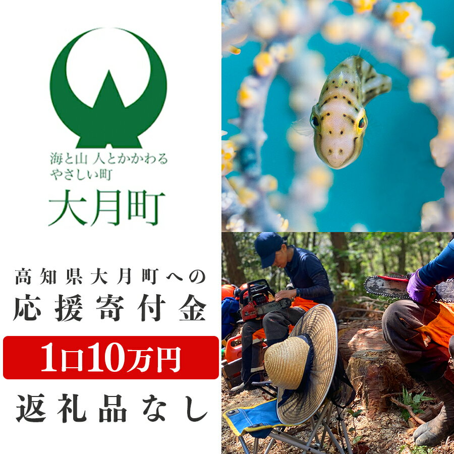 【ふるさと納税】高知県大月町への応援寄附金10万円　【返礼品なし】