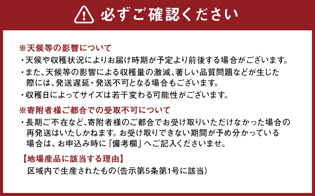 熊本県産晩白柚 2玉入り