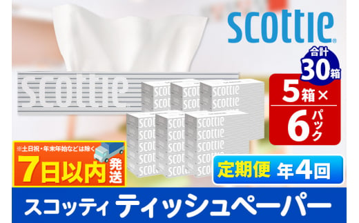 《3ヶ月ごとに4回お届け》定期便 ティッシュペーパー スコッティ 200組 30箱(5箱×6パック) ティッシュ 秋田市オリジナル