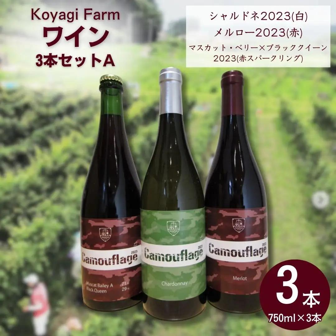ワイン 2本セット 甲斐ノワール / シャルドネ