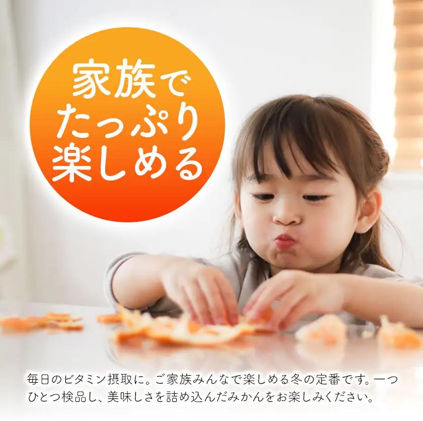 みかん5kg 高橋商店《10月下旬-1月中旬頃出荷》