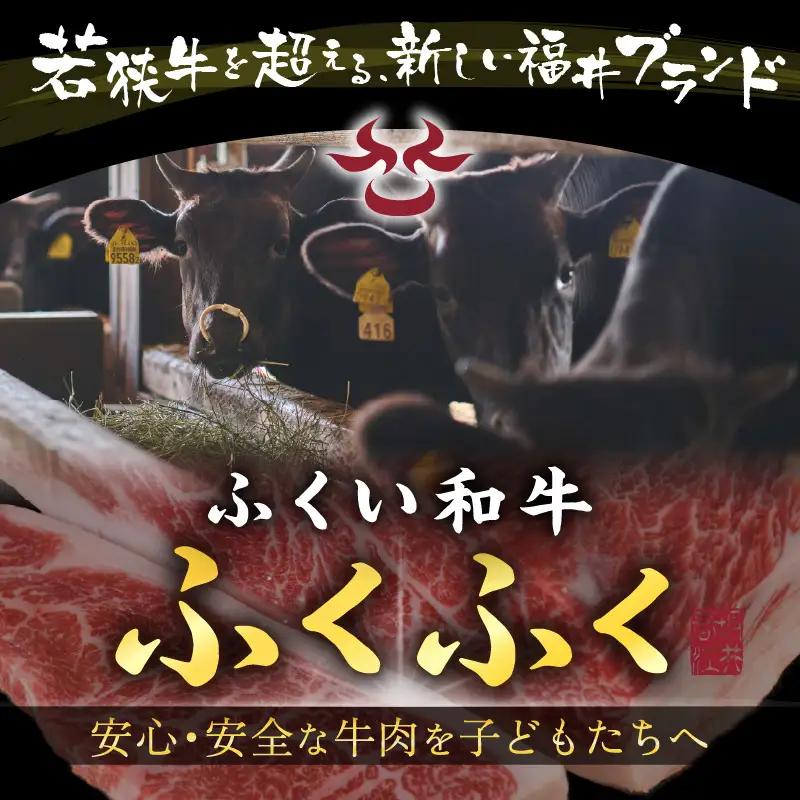 若狭牛ハンバーグ100g × 10個 ナカノ特製100％和牛の極旨品！！ 本格派ハンバーグ！ 【ハンバーグ 若狭牛 国産和牛 黒毛和牛 黒毛和種 ブランド牛 和牛 肉 牛 牛肉 坂井市 福井県産 国産