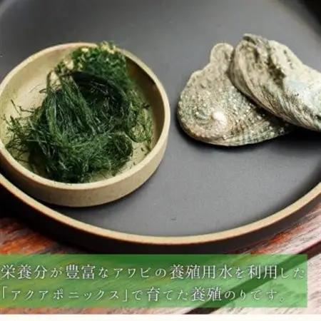 陸上養殖あおのり(原藻)　5g×6パック_魚介・海産物 海苔 海藻 のり ノリ_【1542686】