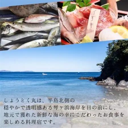 しょうとく丸「桜コース」ペアお食事券【1699211】