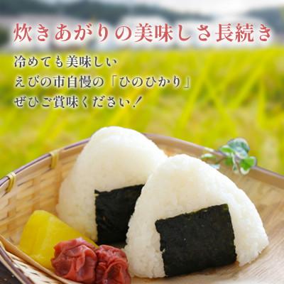 ふるさと納税 えびの市 【毎月定期便】えびの産 ひのひかり 10kg全6回 |  | 01