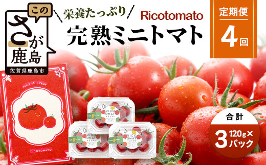 【4回定期便】【先行受付】2027年1月より順次発送予定｜【少量パック】完熟ミニトマト 360g (120gx3p) ｜ トマト プチトマト 野菜 農家直送 ギフト 人気｜佐賀県鹿島市 たにぐちファーム E-160