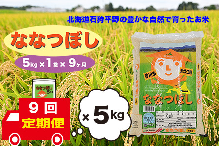 【定期便9回】北海道奈井江町　ななつぼし　5kg