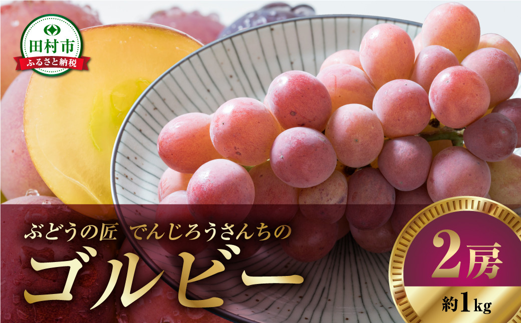 
            【 先行予約 2025年発送 】 ゴルビー 1kg 2房 冷蔵 高級 種無し 種なし ブドウ ぶどう シャインマスカット 巨峰 品種 果物 甘さ 大粒 家庭用 美味しい 食べ方 ランキング おすすめ 福島県 田村市 福島 ふくしま 鈴木農園 でんじろうさん

          