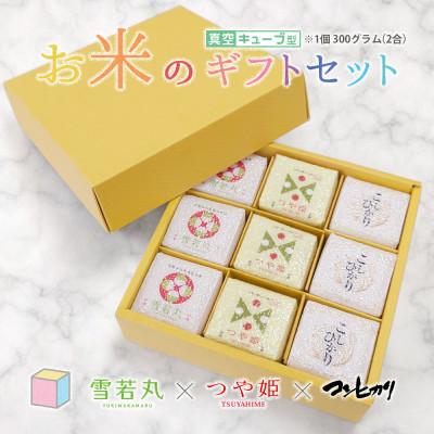 ふるさと納税 鶴岡市 真空キューブ米 詰め合わせ 300g(2合)×9個 山形県産 つや姫/雪若丸/コシヒカリ