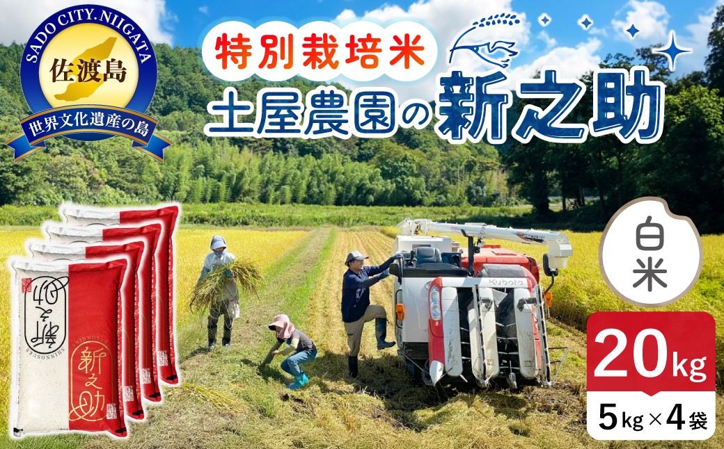 
                  佐渡島産 新之助 白米20kg（5kg×4袋）令和7年産 特別栽培米 単一原料米 土屋農園 | 新潟県産新之助 新潟産新之助 佐渡産新之助 しんのすけ 新之助 お米 米 白米 精米 ブランド米 おこめ コメ 20キロ 大容量 大粒 にいがた さど 新潟県 佐渡市
                