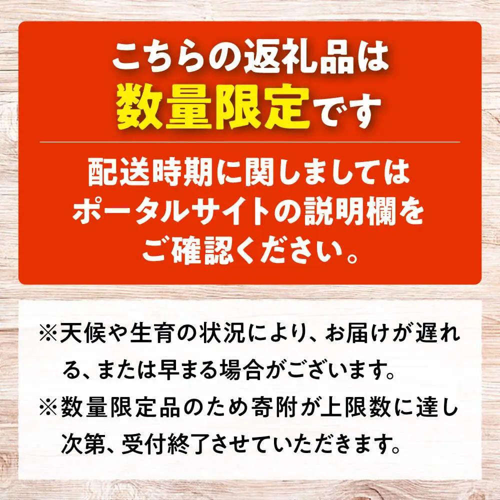 ぶどう BKシードレス 2房 三次市 [APAB008] ブドウ