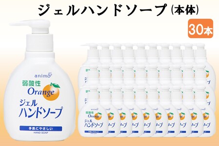 ジェルハンドソープ 本体 200ml×30本ハンドソープ 手洗い ジェル ハンド 福岡 飯塚 福岡県 飯塚市【B-179】