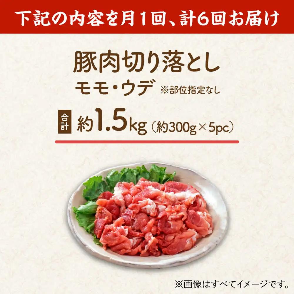 【6回定期便】豚肉切り落とし（モモ・ウデ部位指定なし）約1.5kg（約300g×5pc）【吉里精肉】[ZEW085]