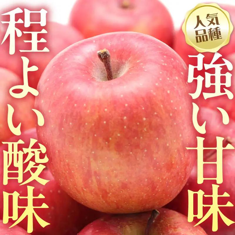 【先行予約】 令和8年産 舘山りんご ふじ 約5kg 16玉 ～ 20玉
