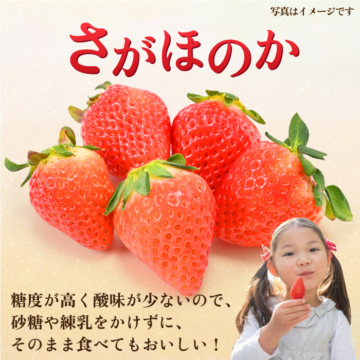 【1月中旬〜2月中旬発送】佐賀県自慢の2種！さがほのか＆いちごさん 平パック4P 約1kg いちご 果物 旬 イチゴ 苺 フルーツ 佐賀県産 佐賀産 佐賀 吉野ヶ里町/リエンサーク [FCC004]