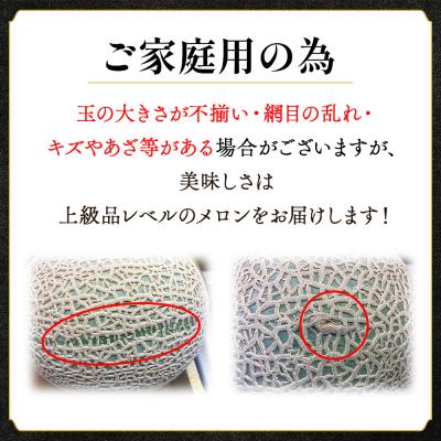 ふるさと納税 香南市 メロン 訳あり 1玉入り 青肉 マスクメロン 家庭用 tn-0024 |  | 02